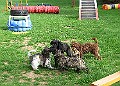 003-apr.11 (2)